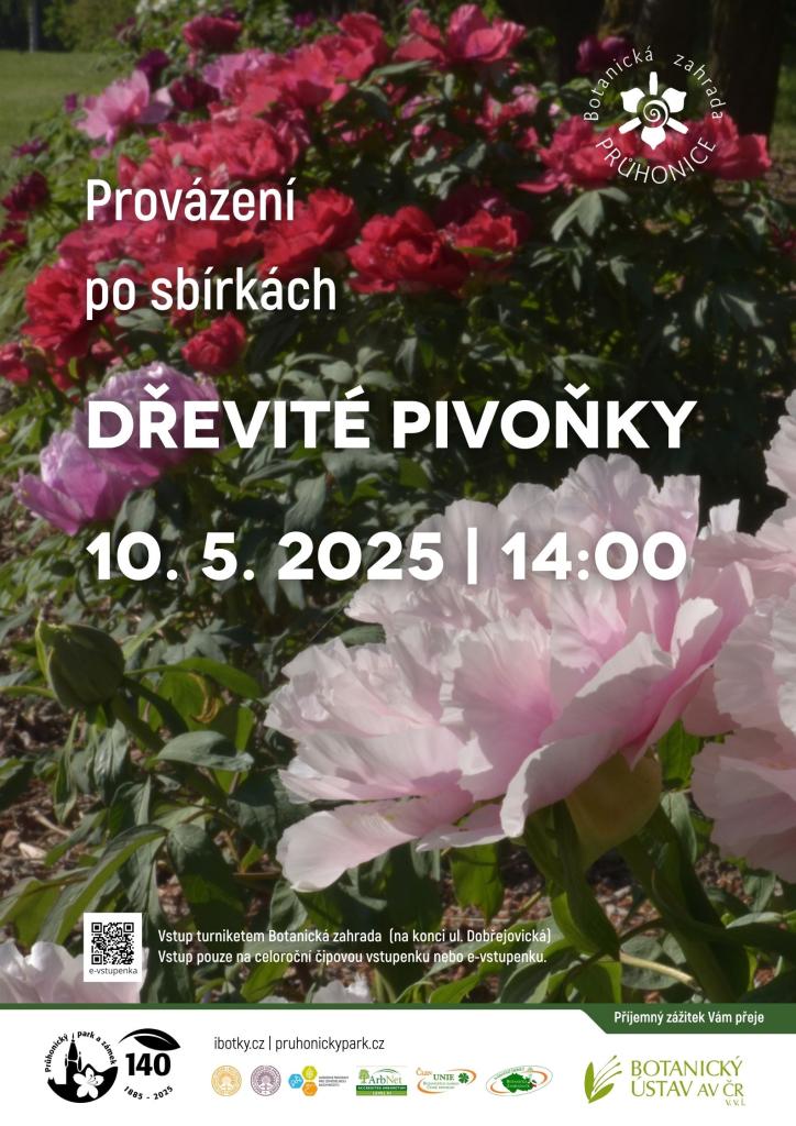 Pozvánka 