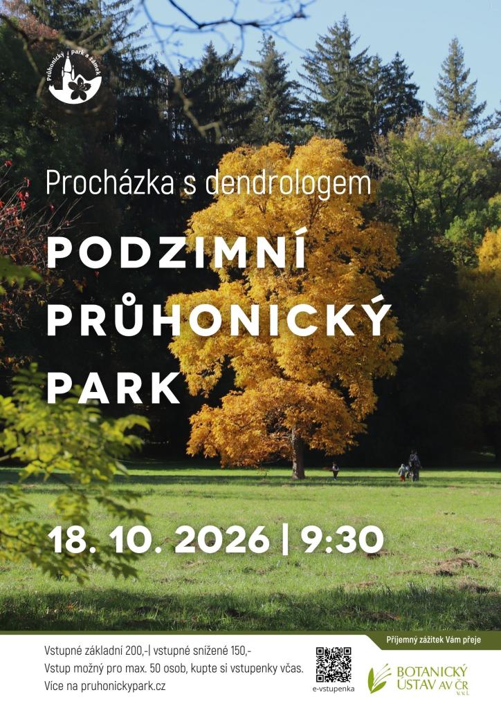 Pozvánka