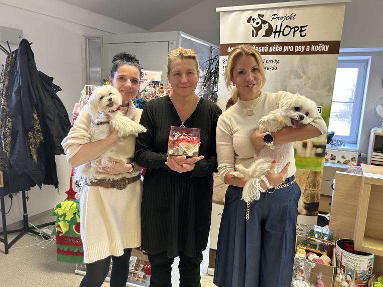 Projekt Hope díky sbírce získal více nez 10 tisíc korun,