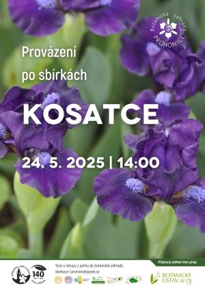 Pozvánka 